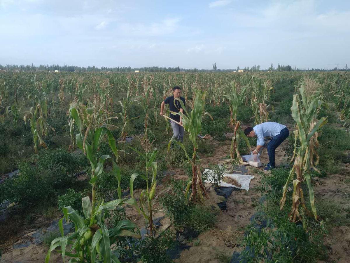 asiagame(中国)asiagaming