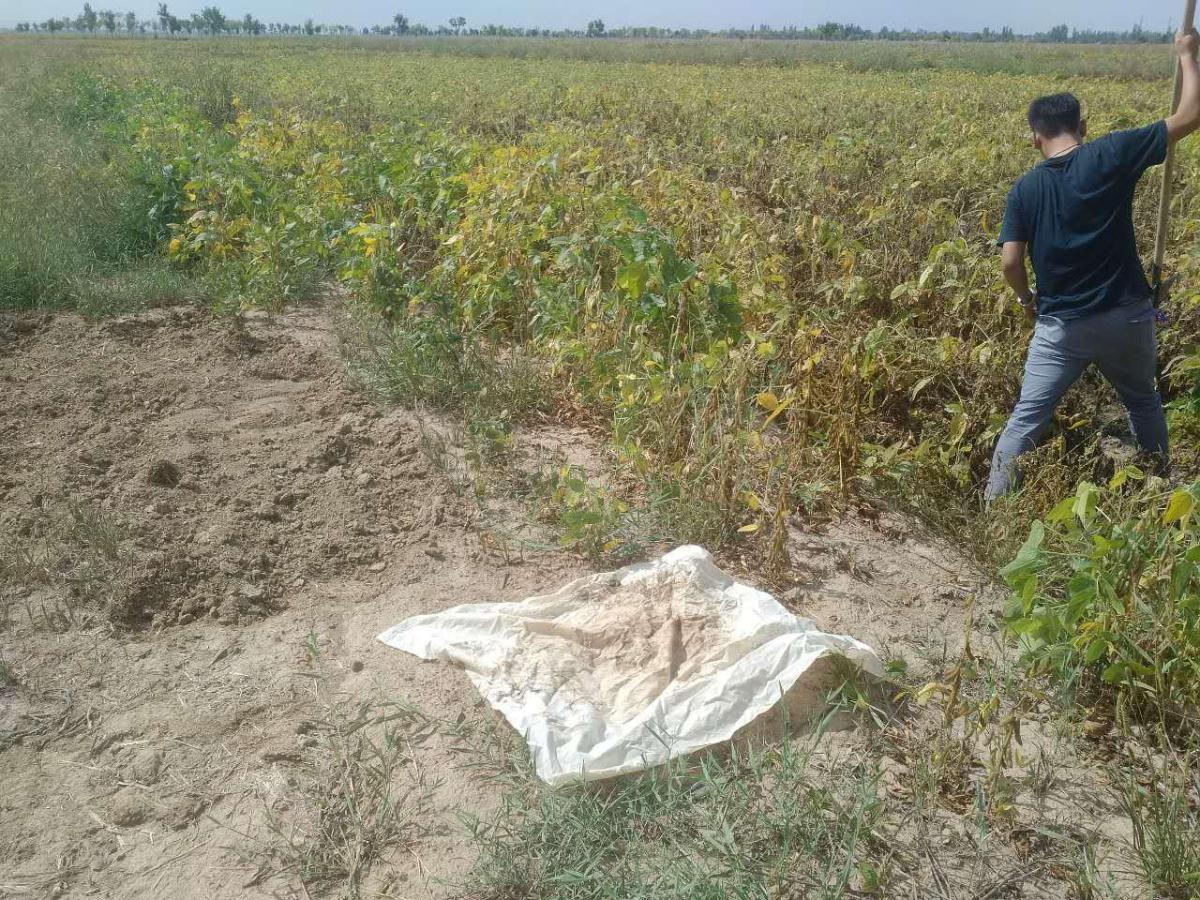 asiagame(中国)asiagaming