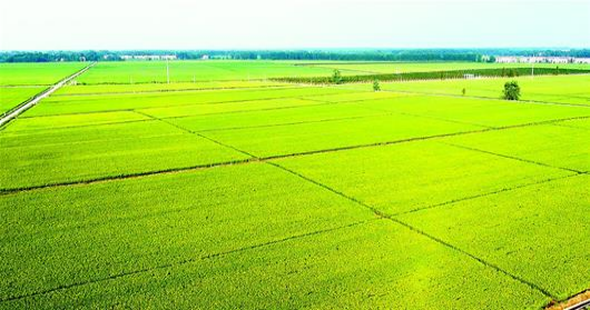 asiagame(中国)asiagaming