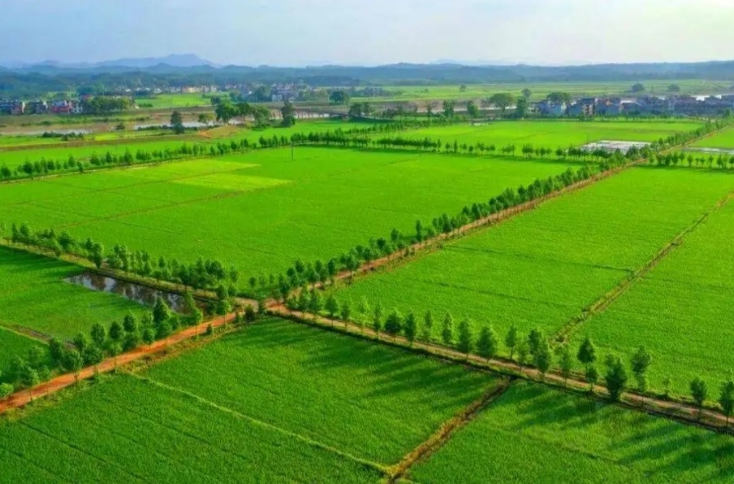 asiagame(中国)asiagaming