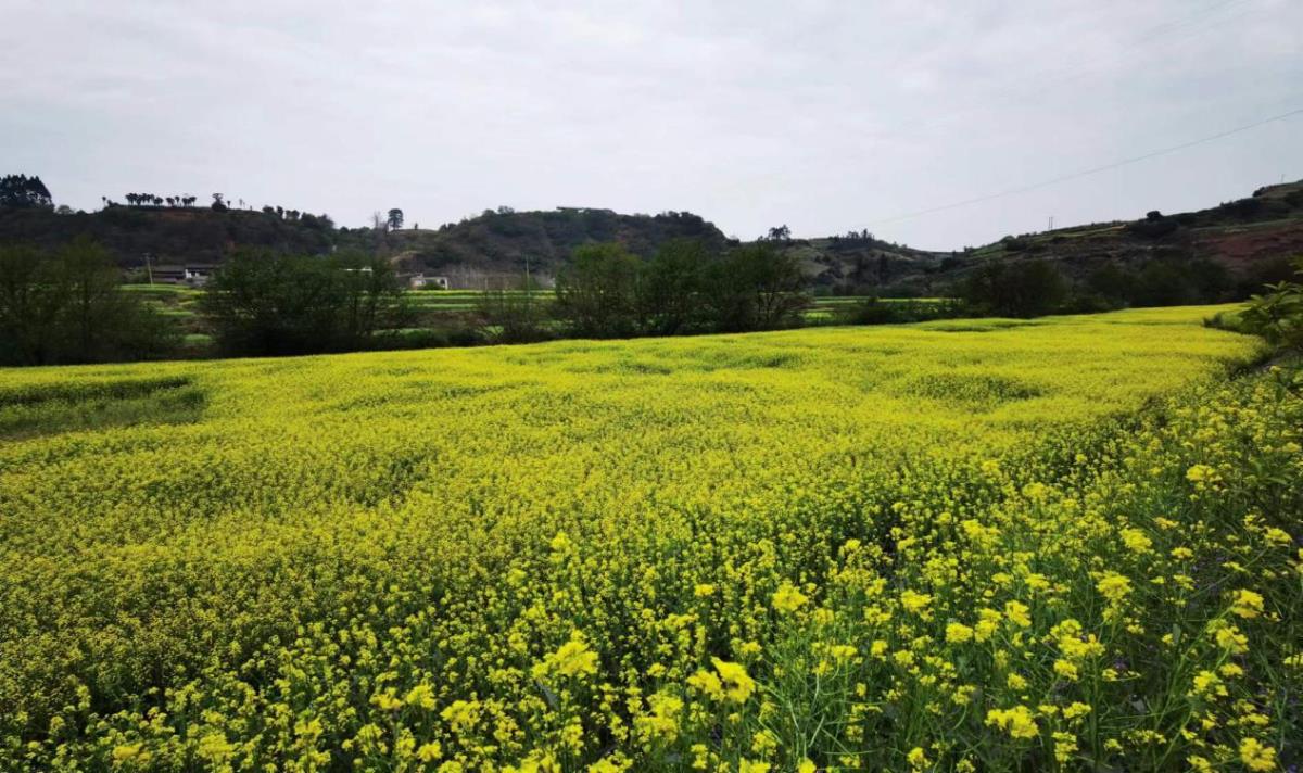 asiagame(中国)asiagaming