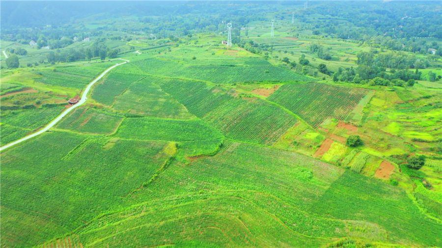 asiagame(中国)asiagaming