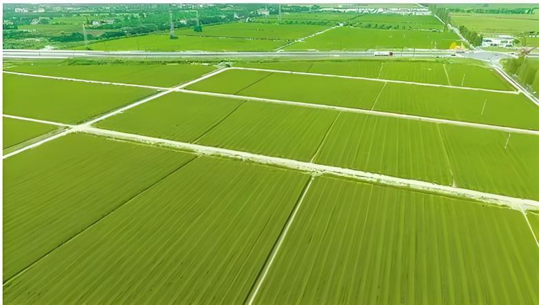 asiagame(中国)asiagaming