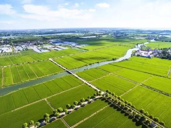 asiagame(中国)asiagaming