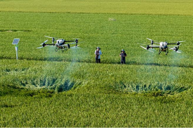 asiagame(中国)asiagaming